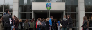 Courses  UCD Undergraduate Courses