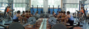 sport & performance