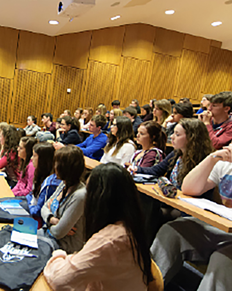 summerschoolfeatured UCD Undergraduate Courses